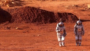 Mit dem SpaceX-Starship will Elon Musk zum Mars. Ob dort allerdings jemals Menschen „spazieren“ ...