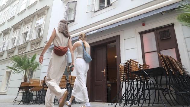 Lau(t)e Sommernächte am Spittelberg in Wien rauben Anrainern den Schlaf.