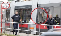 Das Ausmaß der Zerstörung – der Verdächtige spricht von einer „depperten Aktion“. 