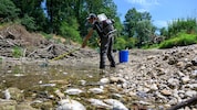Hunderte Fische wurden gerettet, zehntausende verendeten.