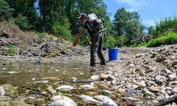 Hunderte Fische wurden gerettet, zehntausende verendeten.