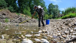Hunderte Fische wurden gerettet, zehntausende verendeten.