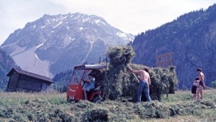Eine Vorarlberger Bergbauernfamilie in den Anfang der 70er-Jahre beim Einbringen der Heuernte. ...