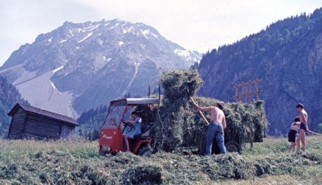Eine Vorarlberger Bergbauernfamilie in den Anfang der 70er-Jahre beim Einbringen der Heuernte. ...