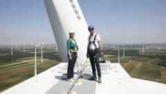 Vize-Landeschefin Anja Haider-Wallner (Grüne) beim Besichtigen einer Windkraftanlage.