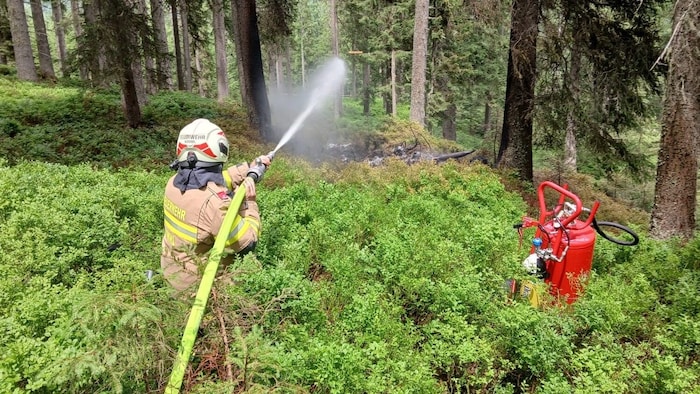 Das Flugzeug ging in Flammen auf, das Feuer griff auch auf den Wald über.