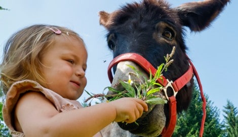 Johanna übt sich schon jetzt als Tierpflegerin.