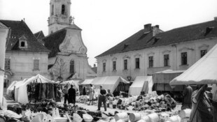 Eine lange Geschichte hat die Stadtgemeinde Langenlois. Stadt ist sie aber erst 100 Jahre lang. ...
