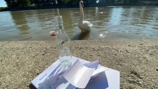 Nicht alles, was angeschwemmt wird, ist ekelhaft oder Müll. Oben: eine Flaschenpost mit ...
