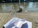 Nicht alles, was angeschwemmt wird, ist ekelhaft oder Müll: hier eine Flaschenpost mit ...
