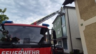 Vogel in Not: Die Feuerwehr wurde von den Hauseigentümern verständigt.