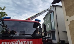 Vogel in Not: Die Feuerwehr wurde von den Hauseigentümern verständigt.