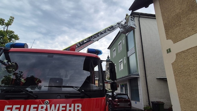 Vogel in Not: Die Feuerwehr wurde von den Hauseigentümern verständigt.