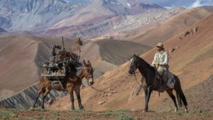 Ein Roboter überquert die Anden: Ohne PS (Pferdestärke) geht es aber nicht.