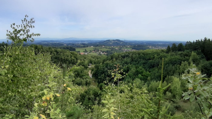 Am Weg zum Gleichenberger Kogel über den ehemaligen Steinbruch Gossendorf.