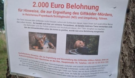 Die Polizei nimmt die Suche nach dem Giftköder-Killer sehr ernst. Man setzt weiter auf HInweise ...