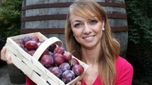 Zwetschken wie diese kennt jeder, die „Aprikosenen“ kaum wer. 