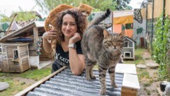 Seit zehn Jahren kümmert sich Bettina Bernadowitsch rund um die Uhr aufopferungsvoll um rund 50 ...