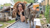 Seit zehn Jahren kümmert sich Bettina Bernadowitsch rund um die Uhr aufopferungsvoll um rund 50 ...