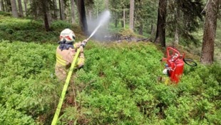 Feuerwehr löschte Brand nach Flugzeugabsturz.