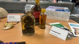 Tigerkrallen und Schlangenwein gehörten zu den kuriosesten Funden.