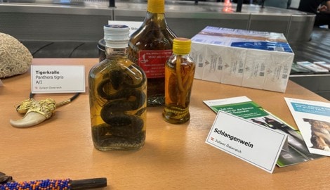 Tigerkrallen und Schlangenwein gehörten zu den kuriosesten Funden.