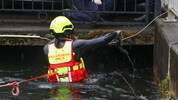 Der Feuerwehrmann barg die Waffe vom Grund des Mühlbaches