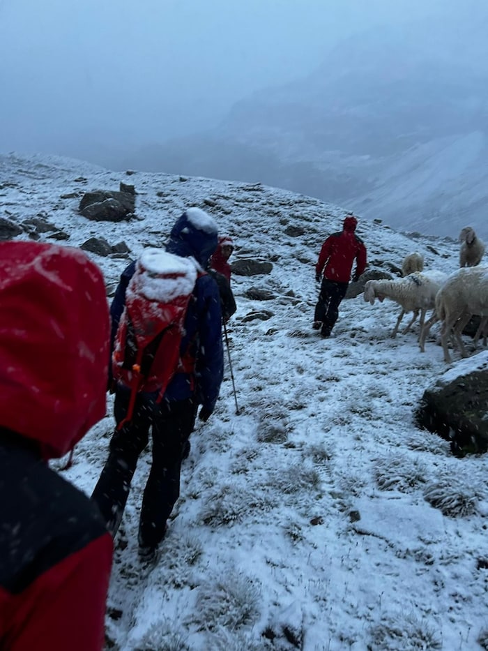 Winterlicher Einsatz für die Bergretter im Juli.