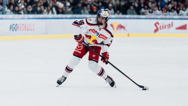 Wechselt vom Eisbullen- ins Petes-Trikot: Leon Kolarik