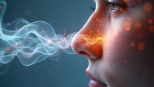 Wissenschaftler haben den „Geruch der Hölle“ hergestellt. Die Reaktionen darauf sind gemischt – ...