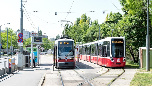 Die Linie 71 fährt bis 31. August nur zwischen Enkplatz und Kaiserebersdorf.