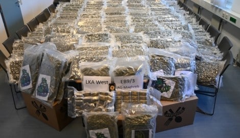 Mehr als 317 Kilogramm Cannabiskraut und weitere zehn Kilo Harz wurden in insgesamt 36 Kartons ...