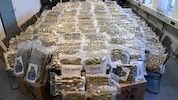 Mehr als 317 Kilogramm Cannabiskraut und weitere zehn Kilo Harz wurden in insgesamt 36 Kartons ...