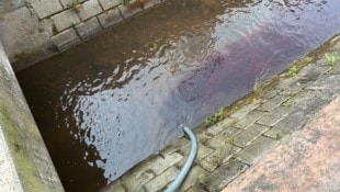 Das Wasser des Modenbachs verfärbte sich durch den Wein rot.