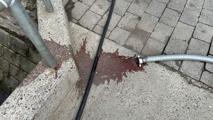 Der Rotwein gelangte durch einen Schlauch in den Bach.