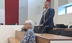 Anwalt Mirko Matkovits legte sich für seine Mandantin mächtig ins Zeug. Selbst im Fall einer ...