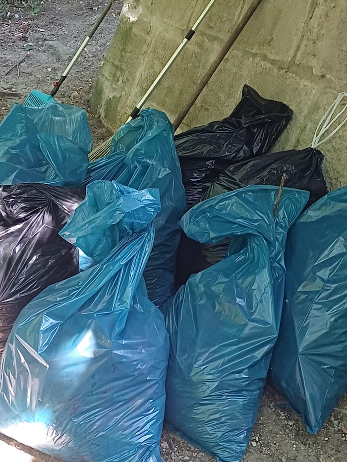Acht Säcke wurden von sechs Freiwilligen mit den Plastikblüten befüllt.