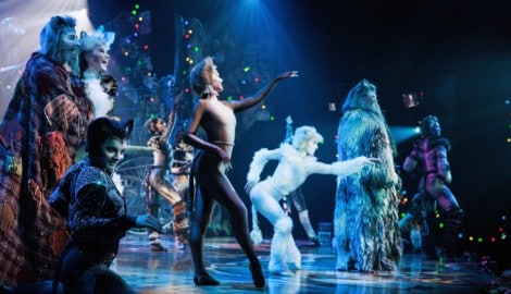 Das Kult-Musical „Cats“ ist ab heute im Linzer Musiktheater zu sehen.
