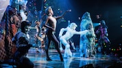 Das Kult-Musical „Cats“ ist ab heute im Linzer Musiktheater zu sehen.