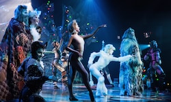Das Kult-Musical „Cats“ ist ab heute im Linzer Musiktheater zu sehen.