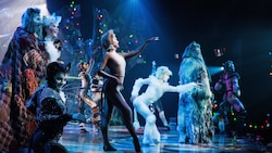 Das Kult-Musical „Cats“ ist ab heute im Linzer Musiktheater zu sehen.