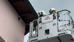 Die Freiwillige Feuerwehr Saalfelden rettete den Falken aus zehn Metern Höhe.