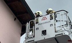 Die Freiwillige Feuerwehr Saalfelden rettete den Falken aus zehn Metern Höhe.