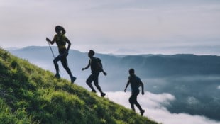 Besonders beliebt ist das Wandern und Traillaufen in Österreichs Bergen. 