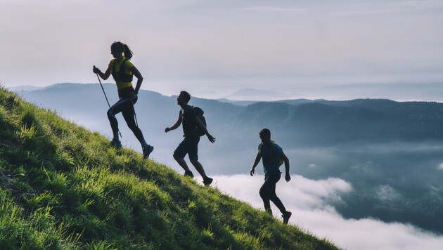 Besonders beliebt ist das Wandern und Traillaufen in Österreichs Bergen.