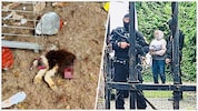 Den Tieren auf den Höfen der 52-Jährigen ist entsetzliches Leid widerfahren. Nun stand die ...