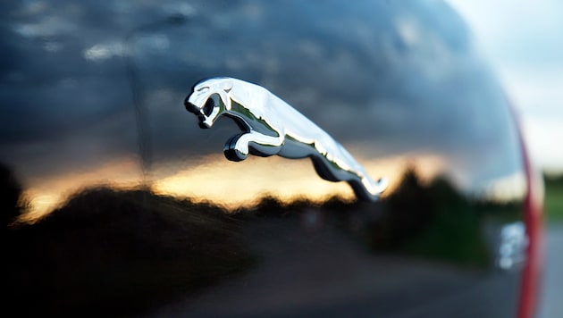 Die Jaguar-Lenkerin soll zu aggressiv angefahren sein.
