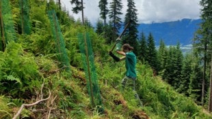 Der freiwillige Helfer Benjamin lockert den Boden mit einer Wiedehopfhaue 