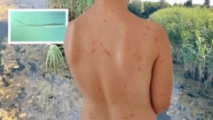 Das folgenreiche Ergebnis eines Badebesuchs der Enkelin des Pächters an der Seeschlacht: knapp ...