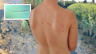 Das folgenreiche Ergebnis eines Badebesuchs der Enkelin des Pächters an der Seeschlacht: knapp ...